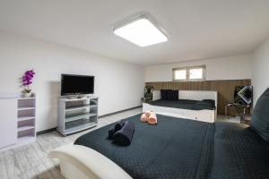 Momolea Holiday Home