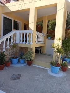 Dimitris House Petriti