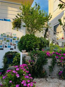 Apartments Amijova