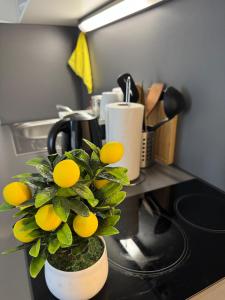 Modern City Center Apartment