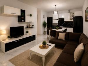 Modern Apartment Fier