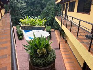 Condo Mono Titi