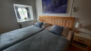 Apartmán Franz Josef