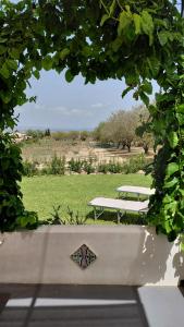 ALMADEMARI GIGLIO CASA VACANZA