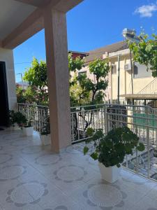 eljos house permet
