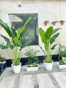 Mahajan Villas - Entire Villa in Sector 109 Gurugram India