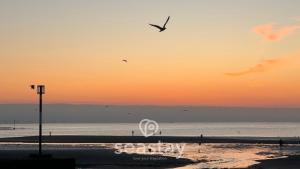 Royal Harbour Lookout, Parking, Pets & Sea View