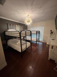 Miami Calm Hostel Bed For Traveler 2B