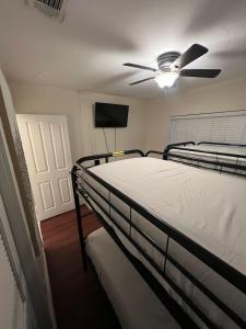 Miami Calm Hostel Bed For Traveler 2B