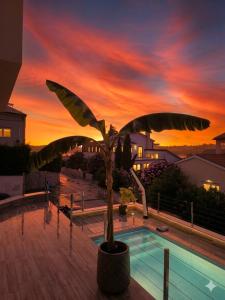 Luxury Histria Apartment with Private Pool Near the Beach