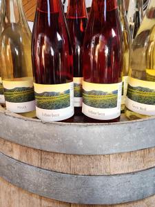 Ferienweingut Schäfer