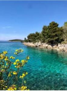 Brač Milna
