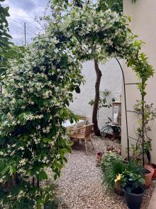 Flowered House with garden img34
