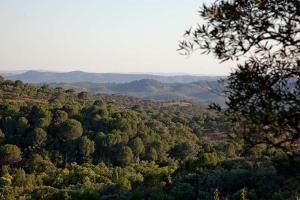 Private Andalusian Estate for Groups & Retreats