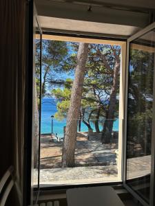 Villa Ruza at Punta rata beach, apartments Delight and Magic