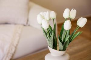 Maison Atenas City Retreat
