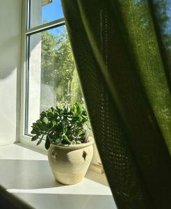 Andrea Apartamenti