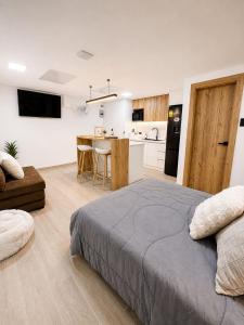 Suite Moderno y Acogedora con Ubicación Ideal de un solo ambiente