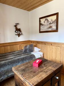 Le Chenaillet - Loft en plein centre de Briançon