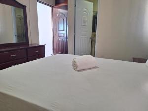 Apartamentos En Edificio Amapola Zona Colonial Malecón