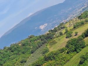 Casa Panorama Assisi