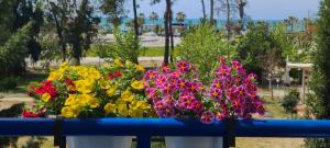 Seaview Ap - up to 7 people- Perla 3