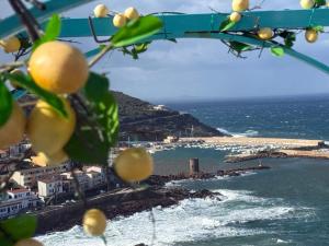 Sa domu mea img52