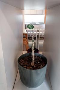 Amplio y cómodo Monoambiente