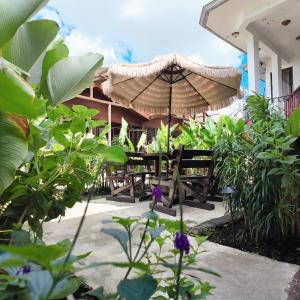 Poshtel Arenal