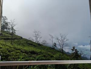 Mount teastay