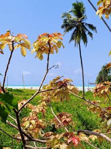Green view Bungalows