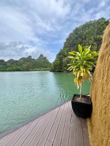 Coconest THREE Langkawi