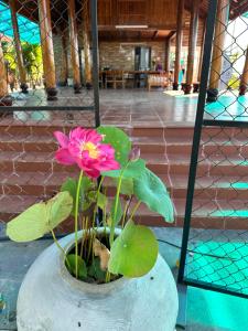Homestay Vườn Dừa - Coconut Garden Homestay