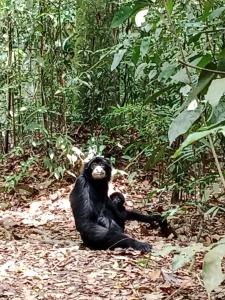 Jungle House And Treking Family Only Treking Booking With Us