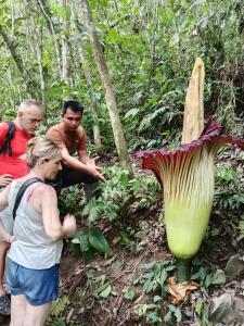 Jungle House And Treking Family Only Treking Booking With Us