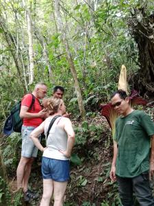 Jungle House And Treking Family Only Treking Booking With Us