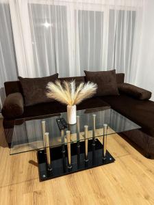 Cabana Muntelui