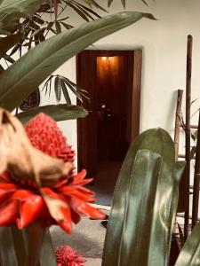 Lexias Hostel and Workspace - Siargao