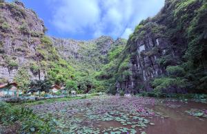 TamCoc Việt Tân Homestay & Garden