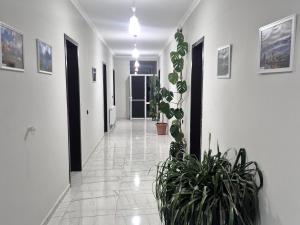 Urban hotel Tsalenjikha