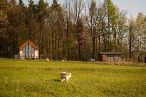 Okno na Beskidy -domek NIEBO z balią , sauną i niesamowitym widokiem na góry
