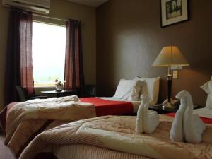 Hotel Camila 2