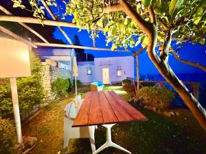 Villa Gama with private garden in Praiano