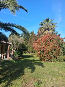 Il Giardino di Ercole
