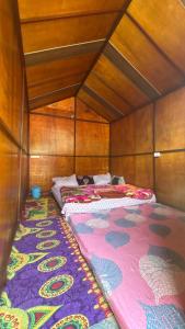 Himalayan Wooden Cottage camping & Cafe Dalhousie