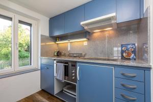 Charming Swiss Lake View studio apartment