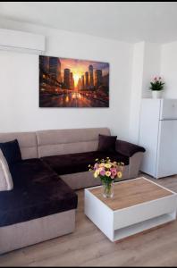 Shaterovi Gerbera Panoram