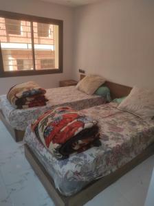 fabuleux appartement 2 chambres