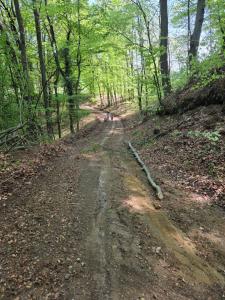 Haus im Wald
