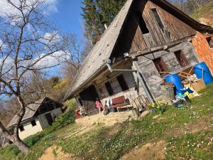 Haus im Wald